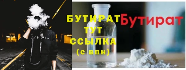 гашик Тайга
