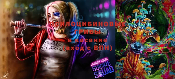 apvp Белоозёрский